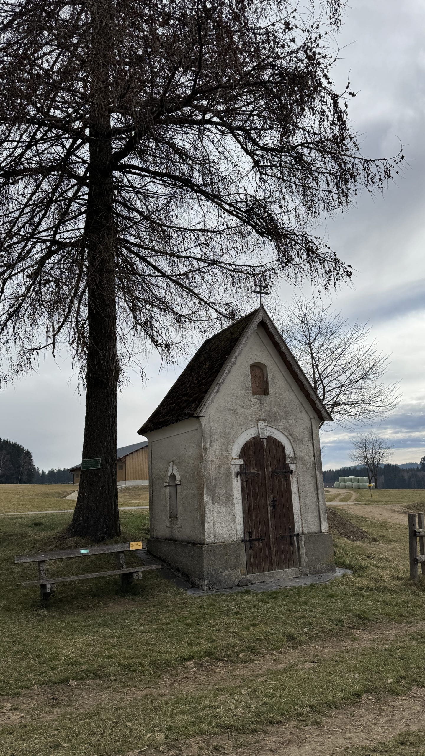 20250323_083054076_iOS