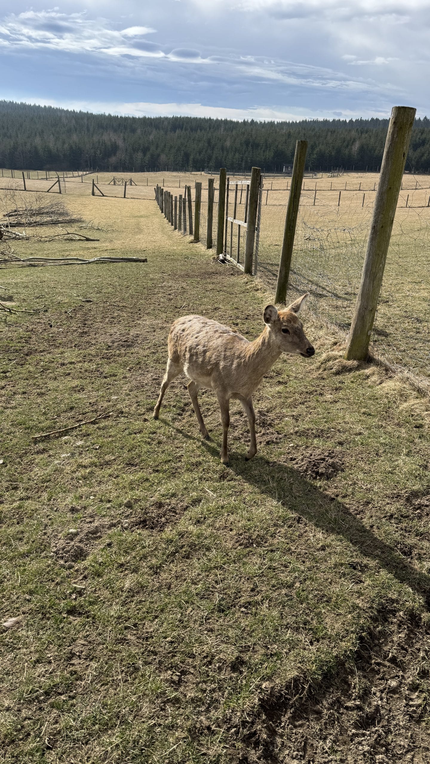 20250323_085602234_iOS