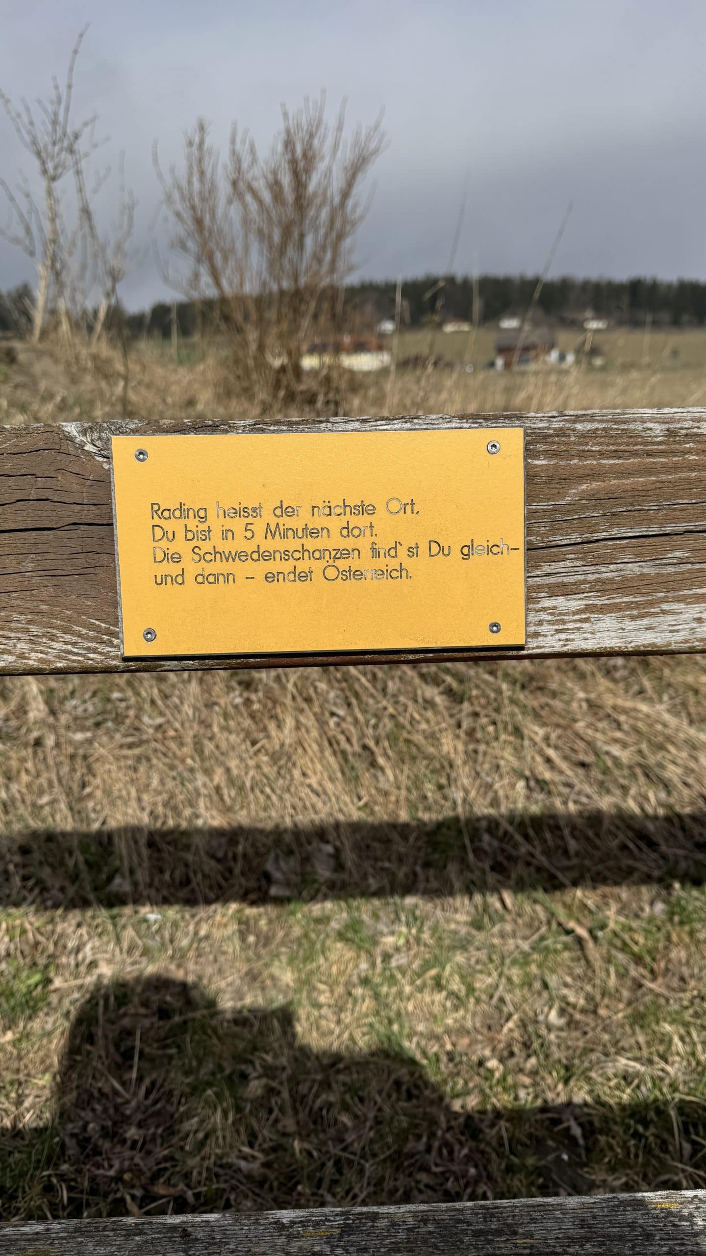 20250323_085741967_iOS