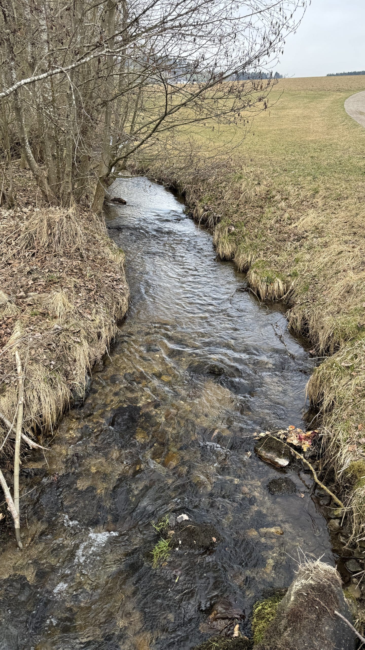 20250323_093953902_iOS