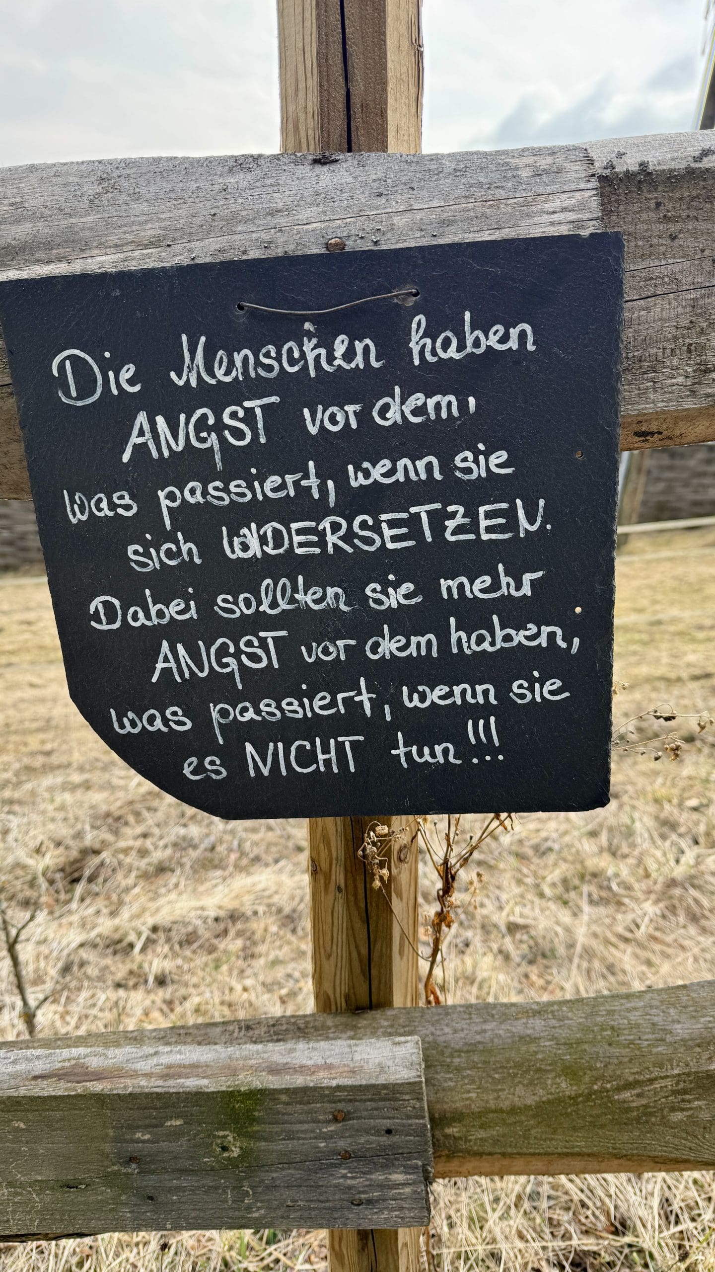 20250324_084657084_iOS