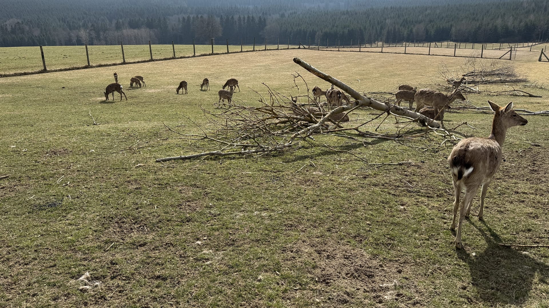 20250323_085629207_iOS