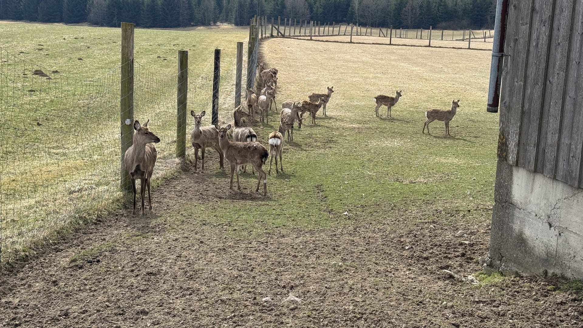 20250323_091409245_iOS