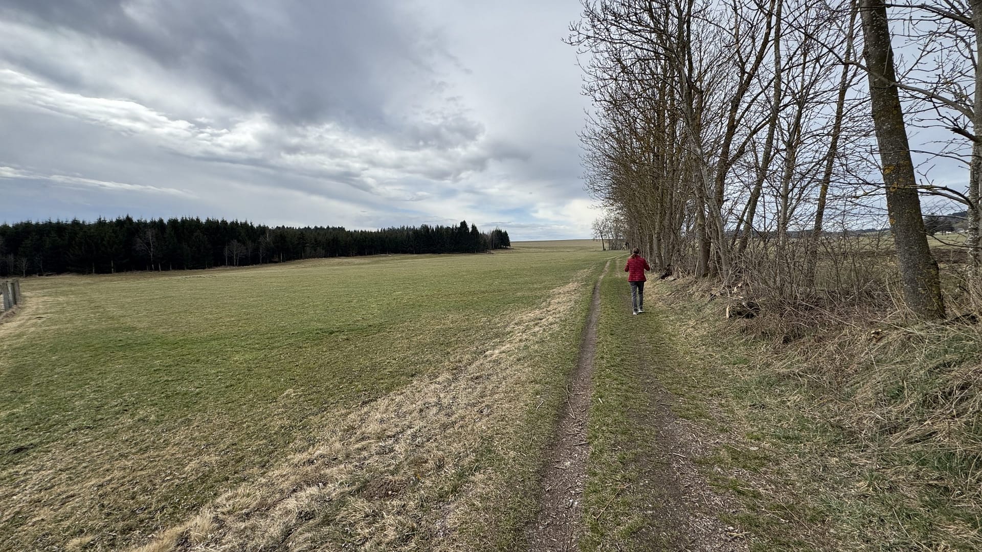 20250323_091718415_iOS