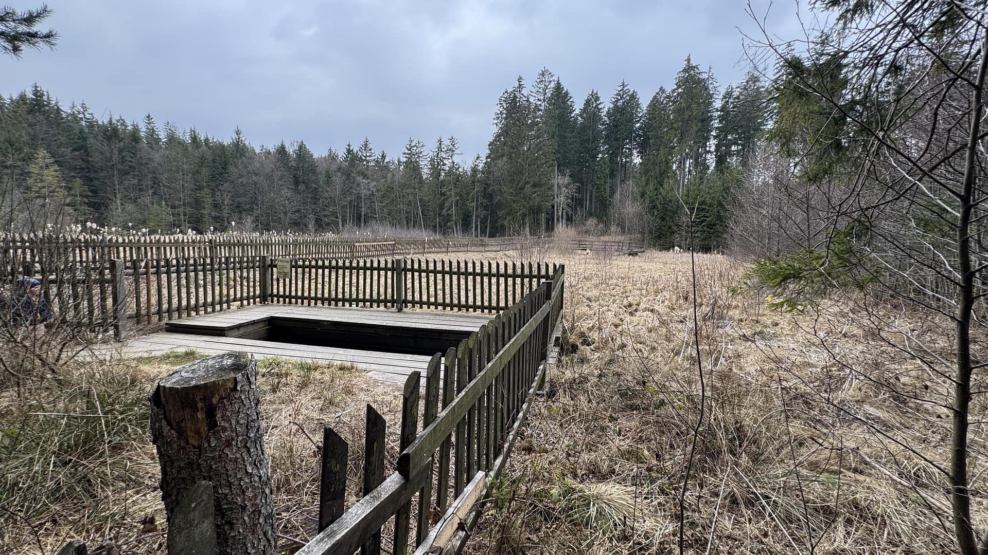 20250324_091820155_iOS